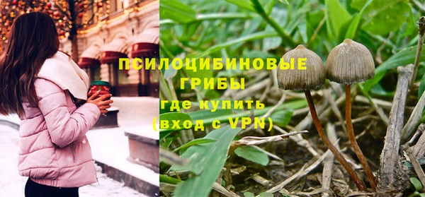 МДПВ Абаза