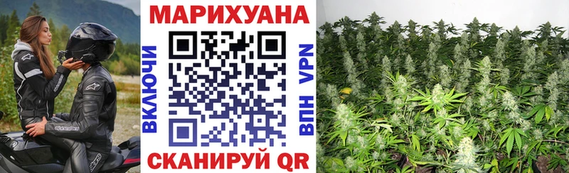 Канабис OG Kush Томари